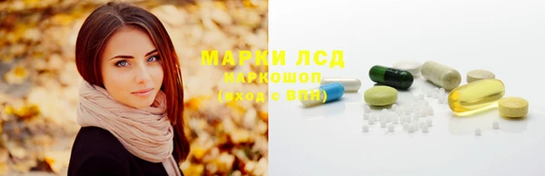 сатива Алексеевка