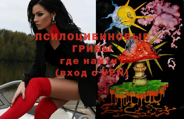 амф Пестово