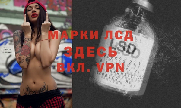 амф Пестово